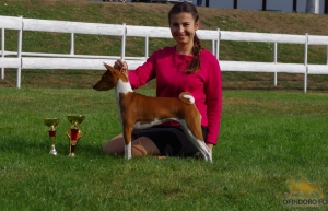 26.08.18 Międzynarodowa wystawa w Mlada Boleslav (CZ)