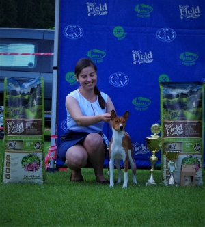 21st Czech Basenji Club Show 08.06.19 (93 basenji entered)